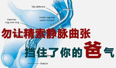 精索静脉曲张不治疗有哪些危害?